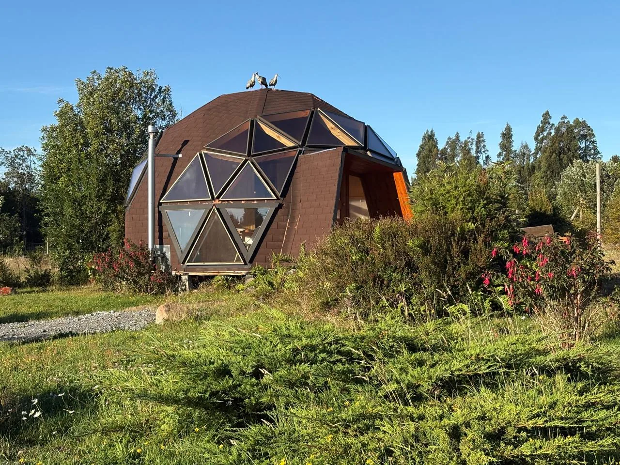 Exterior y naturaleza de Encanta